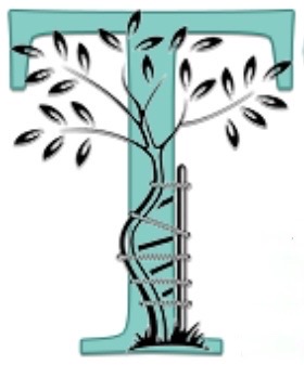 Centre Médical